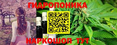 а пвп мука Гусь-Хрустальный