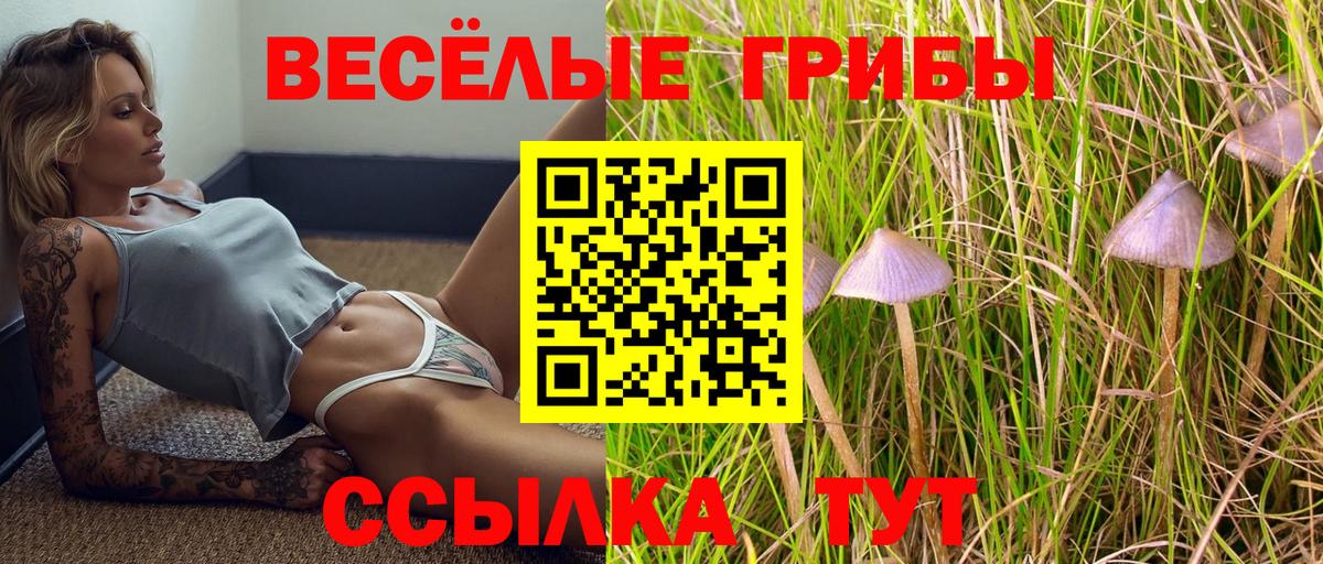 Галлюциногенные грибы ЛСД  Псилоцибиновые грибы прущие грибы  Майкоп  даркнет сайт  Вход с VPN 